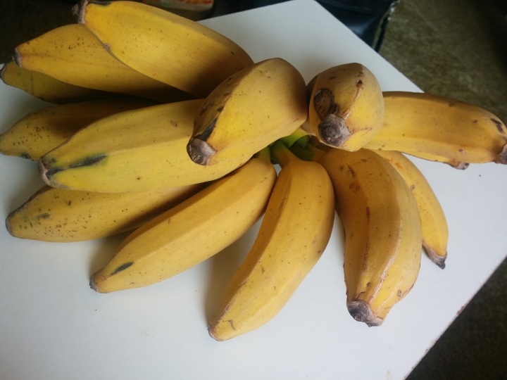 img_20160823_122135-sugar-bananas